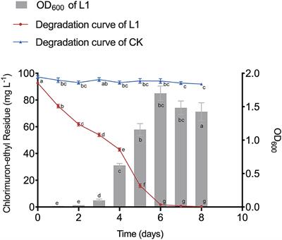 Characterizing the Microbial Consortium L1 Capable of Efficiently Degrading Chlorimuron-Ethyl via Metagenome Combining 16S rDNA Sequencing